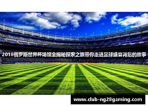 2018俄罗斯世界杯场馆全揭秘探索之旅带你走进足球盛宴背后的故事