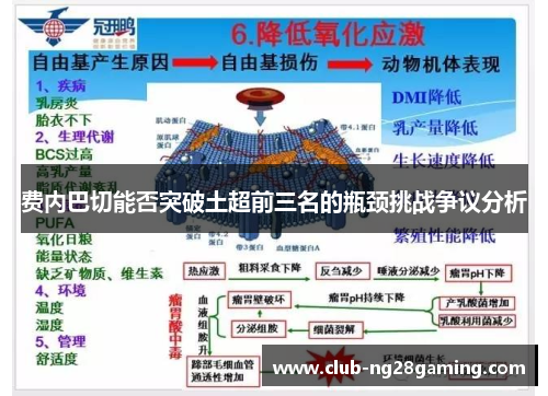 费内巴切能否突破土超前三名的瓶颈挑战争议分析 费内巴切能否突破土超前三名的瓶颈挑战争议分析